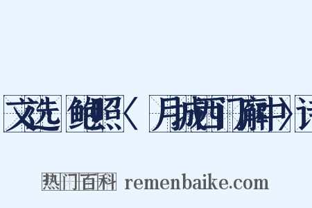文选·鲍照〈翫月城西门廨中〉诗是什么意思的图片